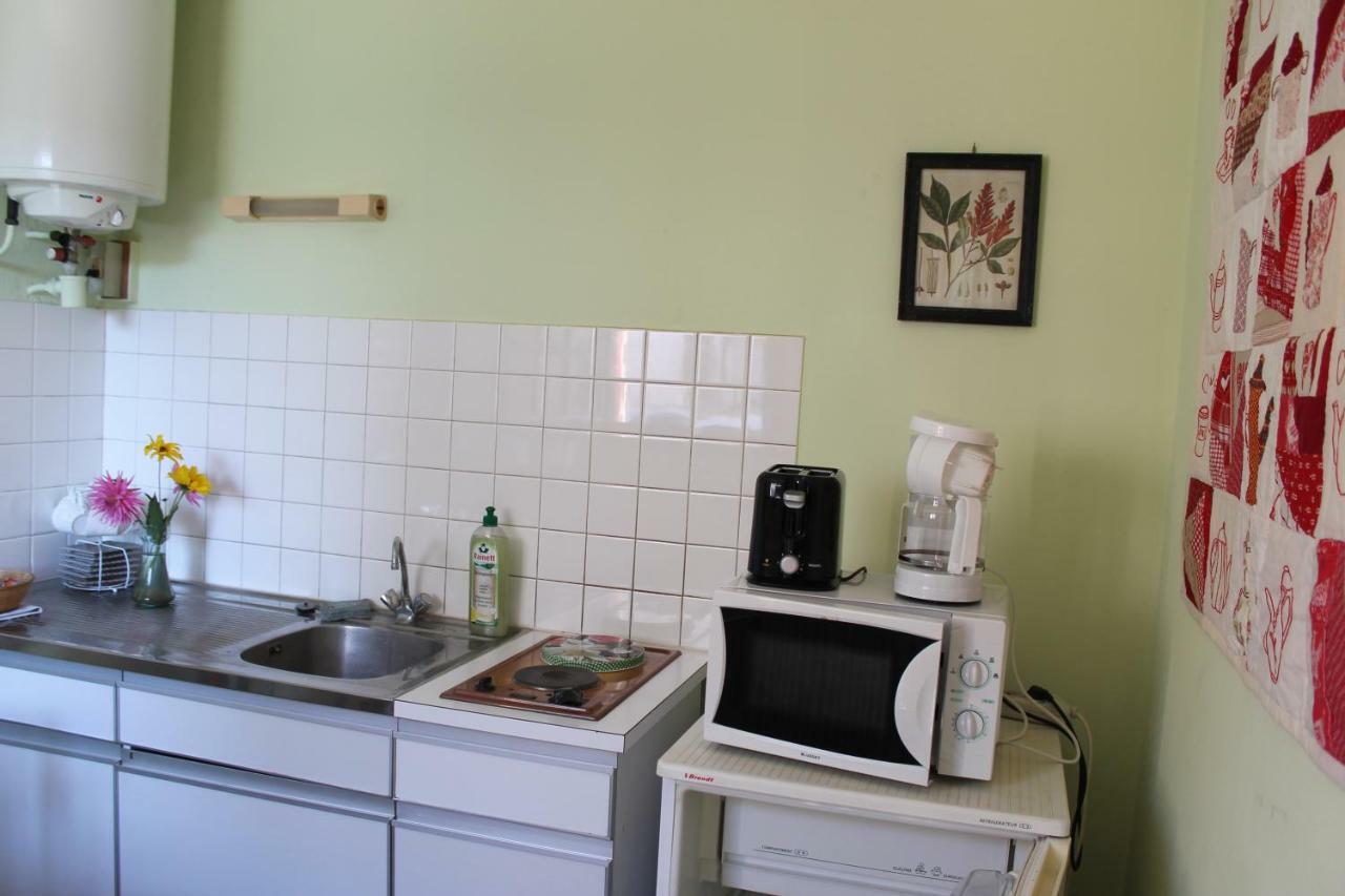 Appartement Val De Saone Seurre المظهر الخارجي الصورة
